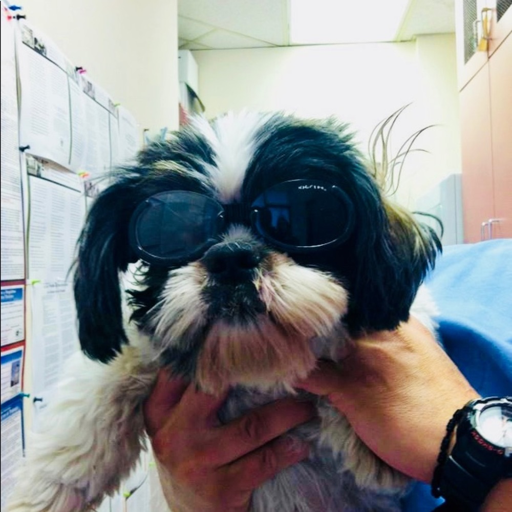 Meet your Posher, Shari